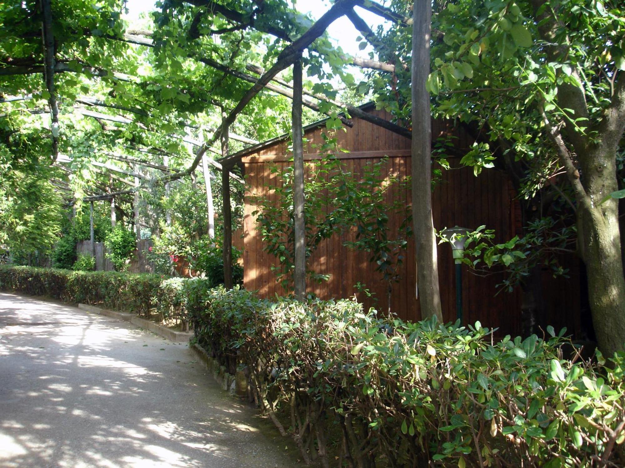 Hotel Fiori D'Arancio Piano di Sorrento Exterior foto