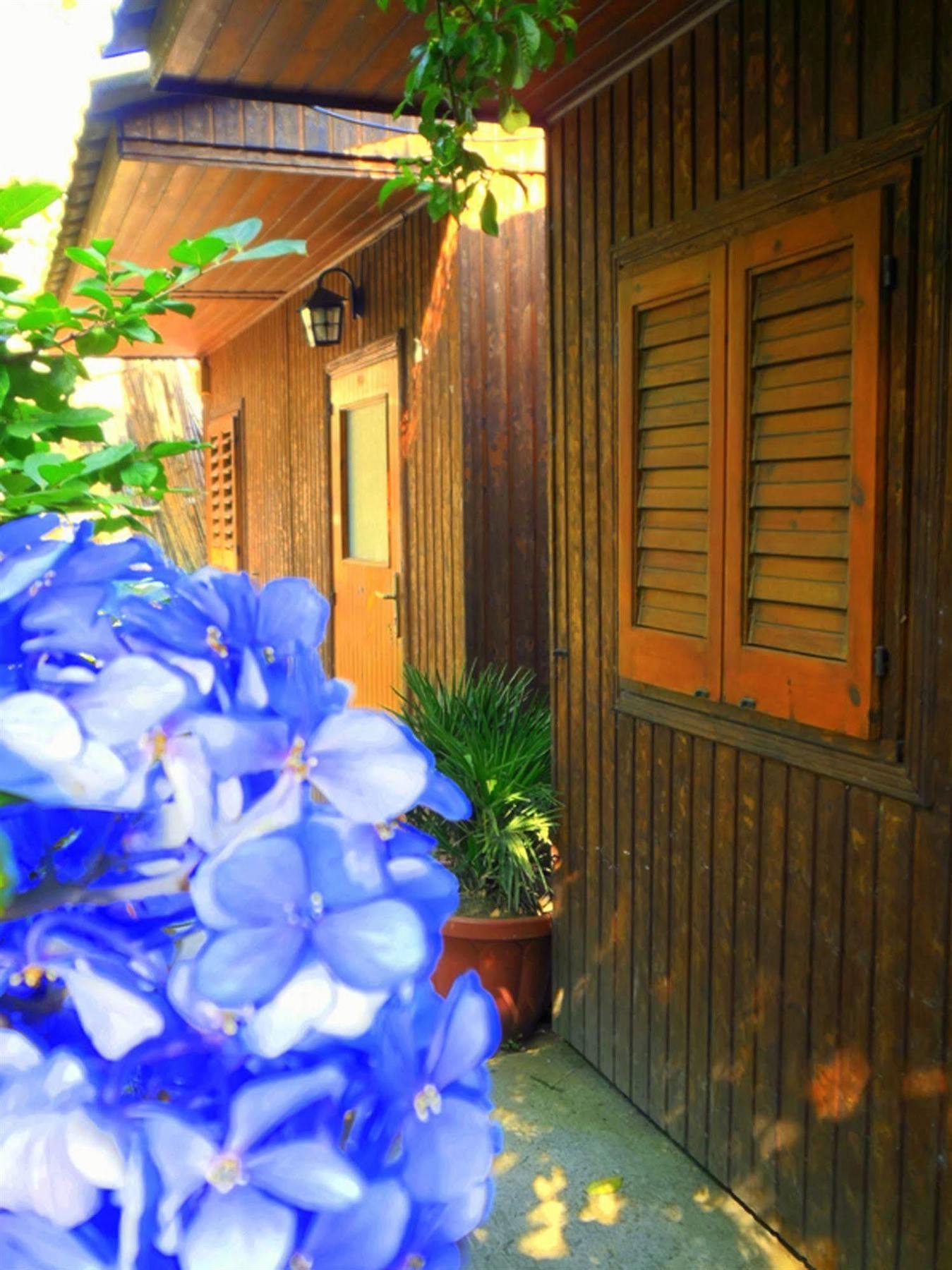 Hotel Fiori D'Arancio Piano di Sorrento Exterior foto
